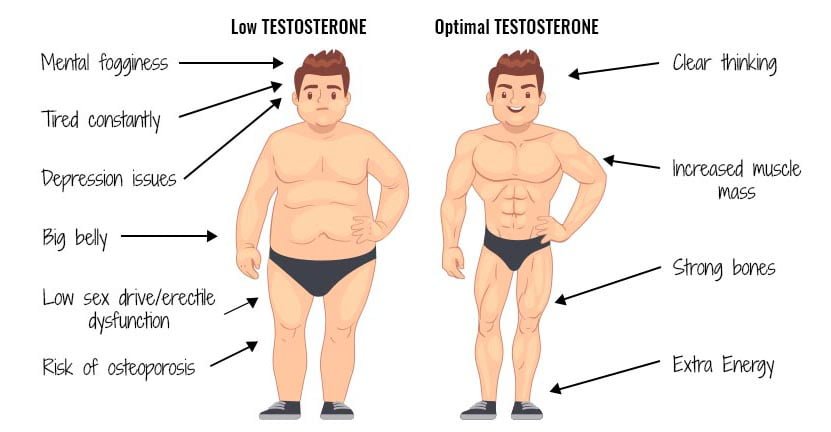 Low Testosterone Doctor Houston Low T Treatment Whim Katy